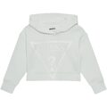 Image of Felpa Guess HOODED LS ACTIVE TOP067