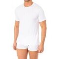 Image of T-shirt Abanderado A0DGP-BLANCO067