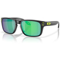 Image of Occhiali da sole Oakley Occhiali da Sole Holbrook XXS OJ9014 901401 Bambini067