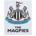 Image of Adesivi Newcastle United Fc TA12643067