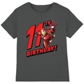 Image of T-shirt & Polo Iron Man TV3549067