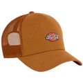 Image of Cappellino Dickies HANSTON TRUCKER DUCK067