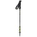 Image of Accessori sport Camp Bastoncini trekking Backcountry carbon 2.0067