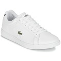 Sneakers basse Lacoste  CARNABY EVO BL 1