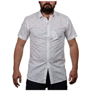 Abbigliamento Uomo T-shirt & Polo Jack & Jones Mozz Bianco