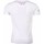 Abbigliamento Uomo T-shirt maniche corte David Copper 6688982 Bianco
