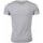 Abbigliamento Uomo T-shirt maniche corte David Copper 6694339 Grigio