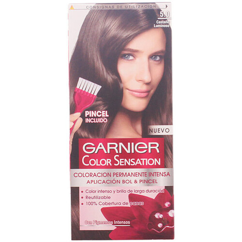 Bellezza Tinta Garnier Color Sensation 5.0-marrone Luminoso 110 Gr 