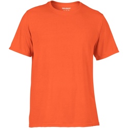 Abbigliamento Uomo T-shirt maniche corte Gildan 42000 Arancio