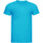 Abbigliamento Uomo T-shirt maniche corte Russell R155M Blu
