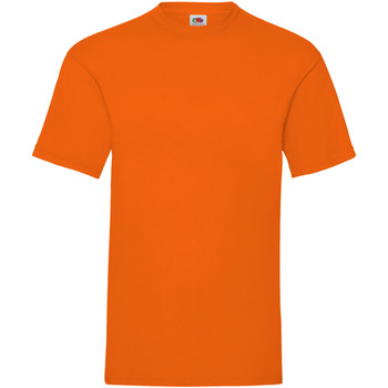 Abbigliamento Uomo T-shirt maniche corte Fruit Of The Loom 61036 Arancio
