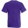 Abbigliamento Uomo T-shirt maniche corte Fruit Of The Loom 61036 Viola