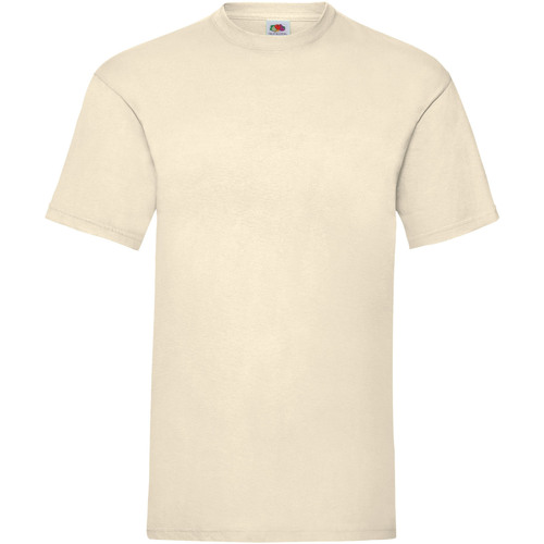 Abbigliamento Uomo T-shirt maniche corte Fruit Of The Loom 61036 Bianco