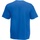Abbigliamento Uomo T-shirt maniche corte Fruit Of The Loom 61066 Blu