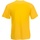 Abbigliamento Uomo T-shirt maniche corte Fruit Of The Loom 61066 Multicolore