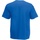 Abbigliamento Uomo T-shirt maniche corte Fruit Of The Loom 61082 Blu