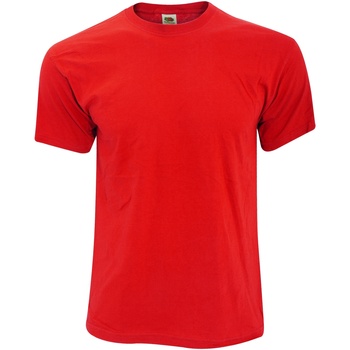 Abbigliamento Uomo T-shirt maniche corte Fruit Of The Loom 61082 Rosso