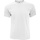 Abbigliamento Uomo T-shirt maniche corte Fruit Of The Loom 61082 Bianco