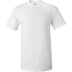 Abbigliamento Uomo T-shirt maniche corte Gildan Ultra Bianco