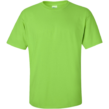 Abbigliamento Uomo T-shirt maniche corte Gildan Ultra Verde