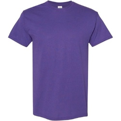 Abbigliamento Uomo T-shirt maniche corte Gildan Heavy Viola