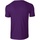 Abbigliamento Uomo T-shirt maniche corte Gildan Softstyle Viola