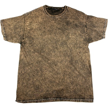 Abbigliamento Uomo T-shirt maniche corte Colortone Mineral Multicolore