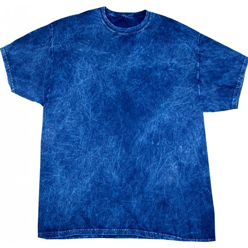 Abbigliamento Uomo T-shirt maniche corte Colortone Mineral Blu