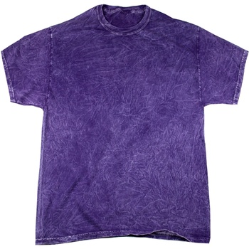 Abbigliamento Uomo T-shirt maniche corte Colortone Mineral Viola