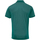Abbigliamento Uomo Polo maniche corte Premier PR615 Verde