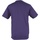 Abbigliamento Uomo T-shirts a maniche lunghe Awdis Just Cool Performance Viola