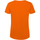 Abbigliamento Donna T-shirts a maniche lunghe B And C TW043 Arancio