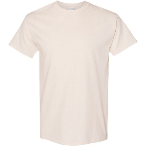 Abbigliamento Uomo T-shirt maniche corte Gildan Heavy Beige