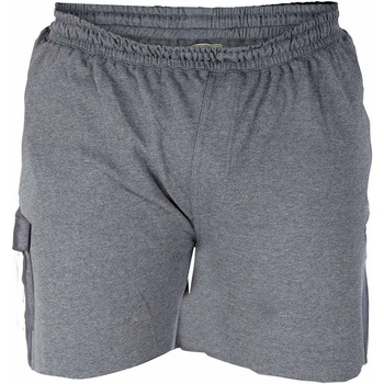 Abbigliamento Uomo Shorts / Bermuda Duke  Grigio
