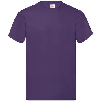 Abbigliamento Uomo T-shirt maniche corte Fruit Of The Loom SS12 Viola