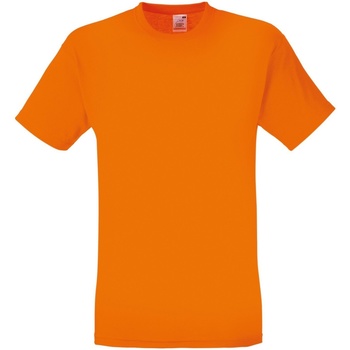 Abbigliamento Uomo T-shirt maniche corte Fruit Of The Loom SS12 Arancio