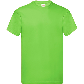 Abbigliamento Uomo T-shirt maniche corte Fruit Of The Loom SS12 Verde