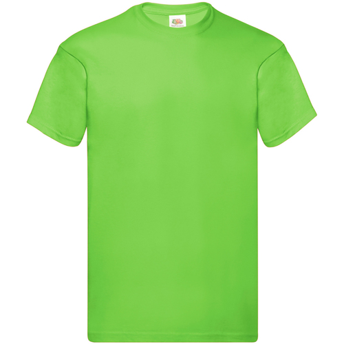 Abbigliamento Uomo T-shirt maniche corte Fruit Of The Loom Original Verde
