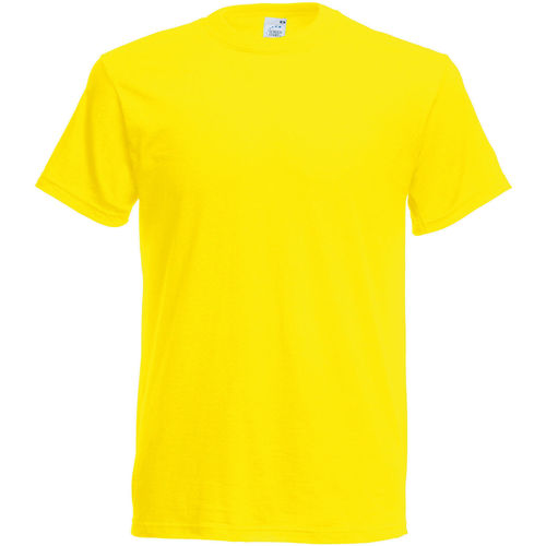 Abbigliamento Uomo T-shirt maniche corte Fruit Of The Loom SS12 Multicolore