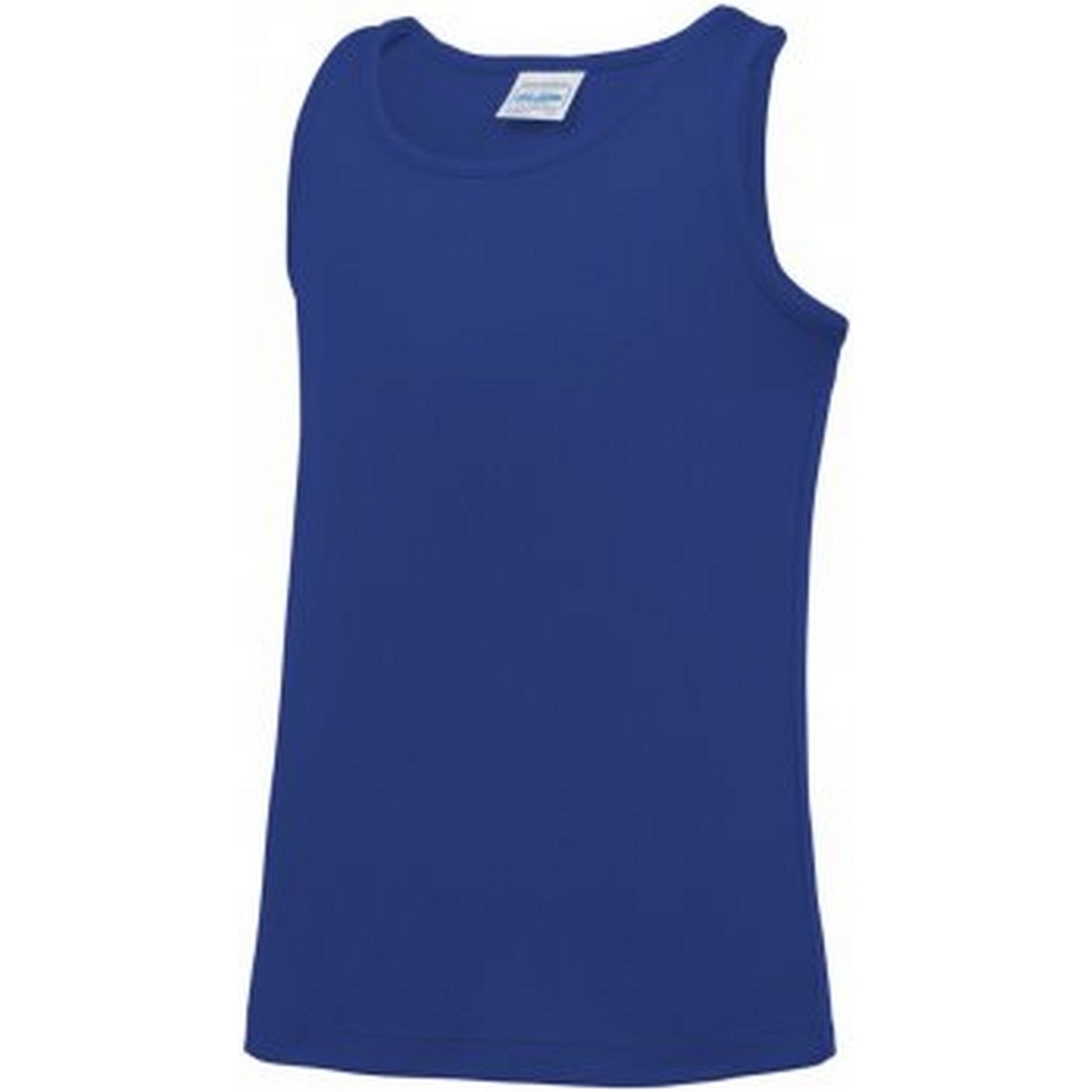 Abbigliamento Unisex bambino T-shirts a maniche lunghe Awdis JC007B Blu