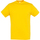 Abbigliamento Uomo T-shirt maniche corte Sols Regent Multicolore