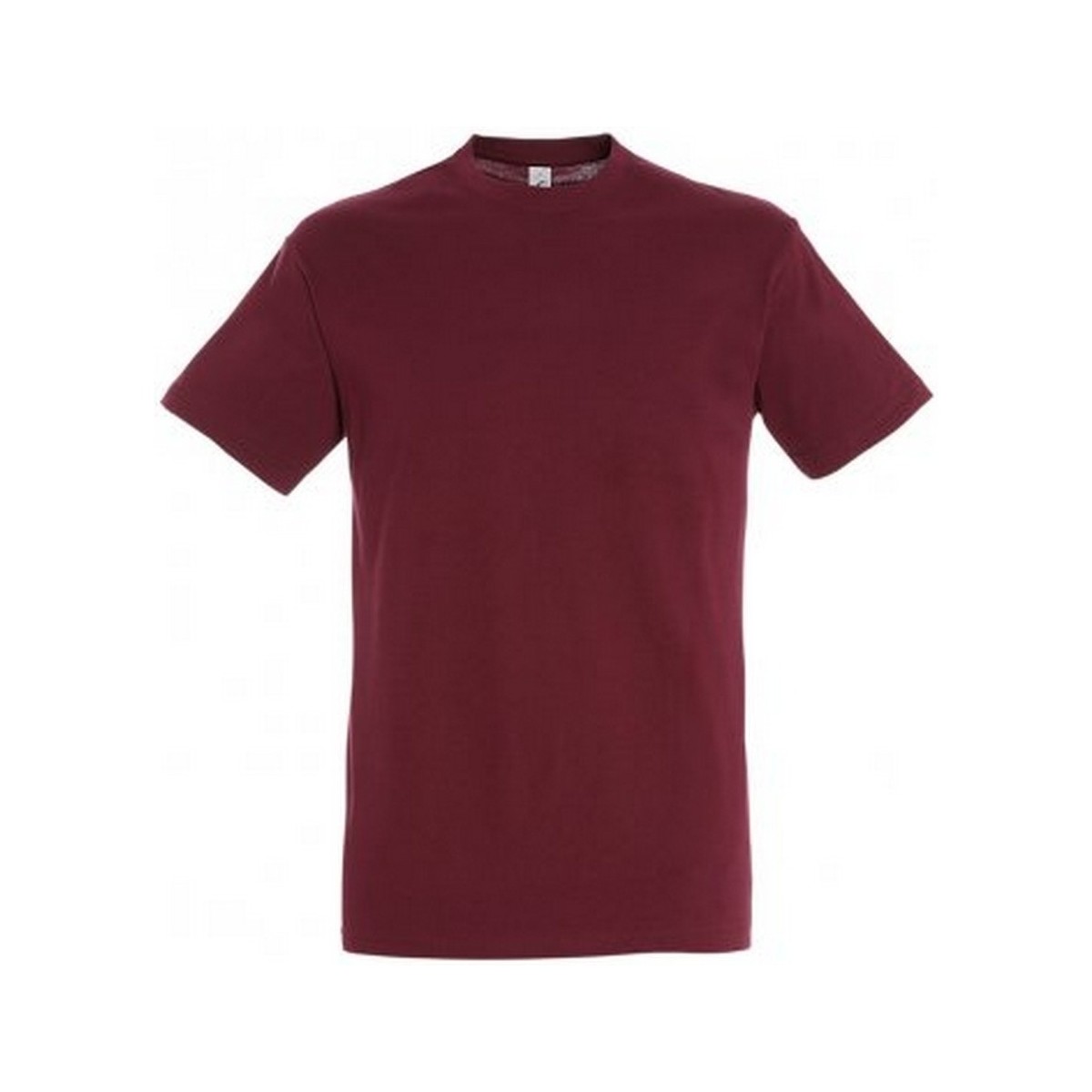 Abbigliamento Uomo T-shirt maniche corte Sols Regent Multicolore