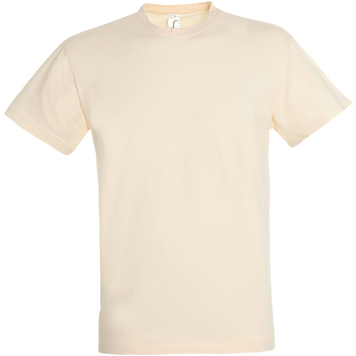 Abbigliamento Uomo T-shirt maniche corte Sols Regent Beige